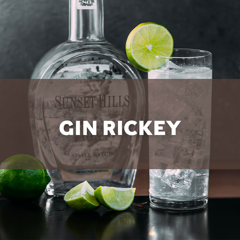 Gin Rickey Recipe